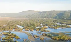 Karacabey Longozu su toplamaya başladı