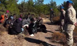 Düzensiz göçe 'Kalkan' olmaya devam!