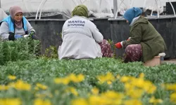 Manisa düşük su tüketimi olan bitkilerle güzelleştiriliyor