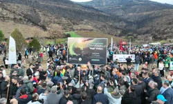 Bursa Gürsu'da yangın bölgesi yeniden hayat buluyor