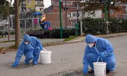 Bursa Osmangazi'de kemirgenlere yönelik mücadele