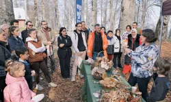 Kocaeli Kuzuyayla'da mantarların gizemli dünyası keşfedildi
