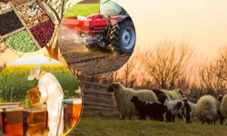 2 milyar TL'lik tarımsal destek hesaplarda