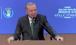 Erdoğan: Türkiye, mazlumların yanında olmaya devam edecek