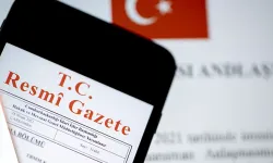 İş yeri açma ve çalışma ruhsatlarına ilişkin yönetmelik değişti... Geciktirilen ruhsatta Bakanlık devreye girecek