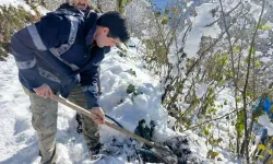 Ordu'nun yüksek ilçelerinde su hatları dondu