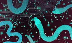 Oyun gibi gözükse de gerçekte siber casusluk!