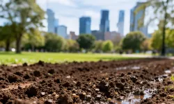 TEMA'dan 'toprak' vurgusu! Kentleşme, tarım topraklarını yok ediyor