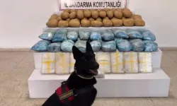 63 ilde 1 tonu aşkın uyuşturucu ele geçirildi