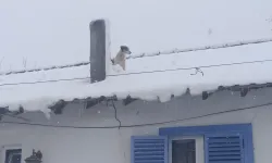 Bilecik Pazaryeri'nde kar altında kurtarma operasyonu