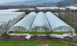 Bursa'da lodoszede seralara Büyükşehir desteği