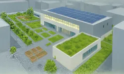 İzmir çatılarda yeşil devrimi başlatıyor