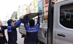 İzmit'te kamu alanı işgallerine sıkı denetim