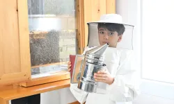 Manisalı çiftçilerin yüzü güldü