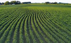 TAKE ile tarım arazileri daha verimli kullanılıyor