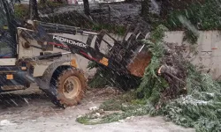 Trabzon'da kritik noktalarda kar temizliği
