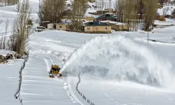 Van'da 220 köy yolu ulaşıma kapalı