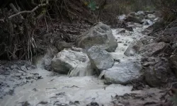 Yenişehir Kirazlıyayla'da binlerce ton kimyasal doğaya karıştı!