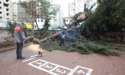 Kayseri Melikgazi'de rüzgar kabusu