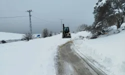 Malatya'da ekipler karla mücadeleyi sürdürüyor