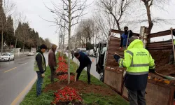 Sakarya'da 'Yeşil Şehir' vizyonu sahada