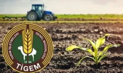 TİGEM Karacabey İşletmesi 98,7 ton kimyevi gübre alacak