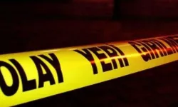 Yığılca-Alaplı yolunda tır şarampole devrildi