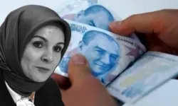 516 bin vatandaşa 7,1 milyar TL 'evde' destek