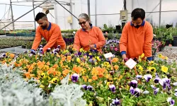 Antalya Muratpaşa'dan sürdürülebilir üretim modeli