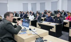 Bilecik'te sokak hayvanları için kritik toplantı