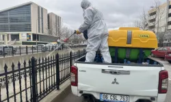 Çorum'da vektörle mücadele aralıksız sürüyor