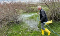 Enez'de larva ilaçlaması başladı