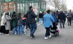 Kayseri'de hayvanat bahçesinde bayram yoğunluğu