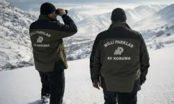 Niğde'de yasa dışı avcılığa suçüstü!