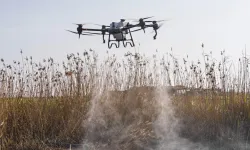 Sivrisinek ve zararlılara karşı İzmir modeli teknoloji sahada