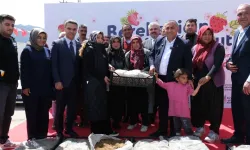 Adana Büyükşehir'den Pozantı'ya 900 bin çilek fidesi desteği