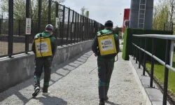 Başkent'te haşereyle etkin mücadele