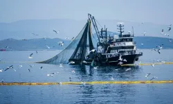 Denizlerde av yasağı 15 Nisan'da başlıyor