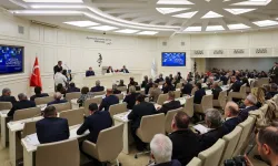 Gaziantep'ten Bakan Tekin'e 'fahri hemşehrilik' kararı