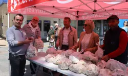 İzmit'te ücretsiz istiridye mantarları dağıtıldı