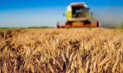 Kırsal kalkınma yatırımlarında 10 milyar TL'lik destek başladı