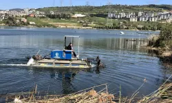 Kocaeli Gölkaypark'ta çöp ve bitkisel atık temizliği