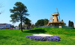 Sakarya'da baharın büyüleyici cümbüşü