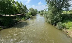 Bursa'da Yenişehir Ovası yağmurlarla şenlendi