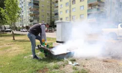 Diyarbakır ilçelerinde haşereyle mücadele aralıksız sürüyor