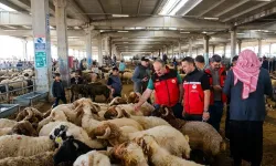 Kurban denetimleri 81 ilde sıkılaştırıldı