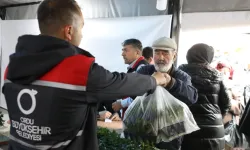 Ordu'da 300 bin yazlık sebze fidesi dağıtımı başladı
