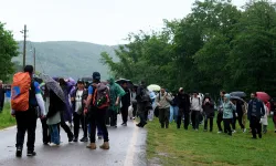Sakaryalı doğa tutkunları Poyrazlar'da buluştu