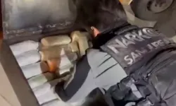 Şanlıurfa'da 20 kilogram skunk ele geçirildi