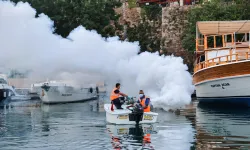 Antalya'da sahil bandında vektörle mücadele